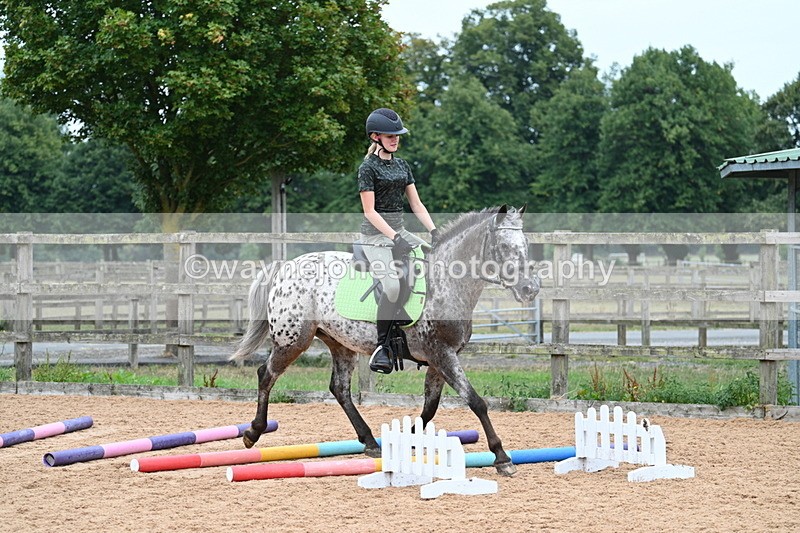 WJ7_9886 - Poles 14:00