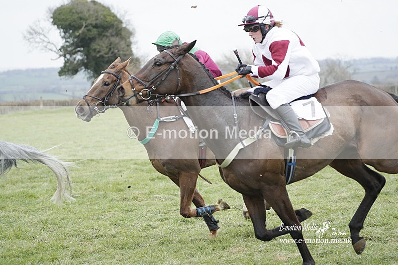 PtP 050323 712 - Blackmore & Sparkford Vale Hunt PtP - Somerset 05/03/23