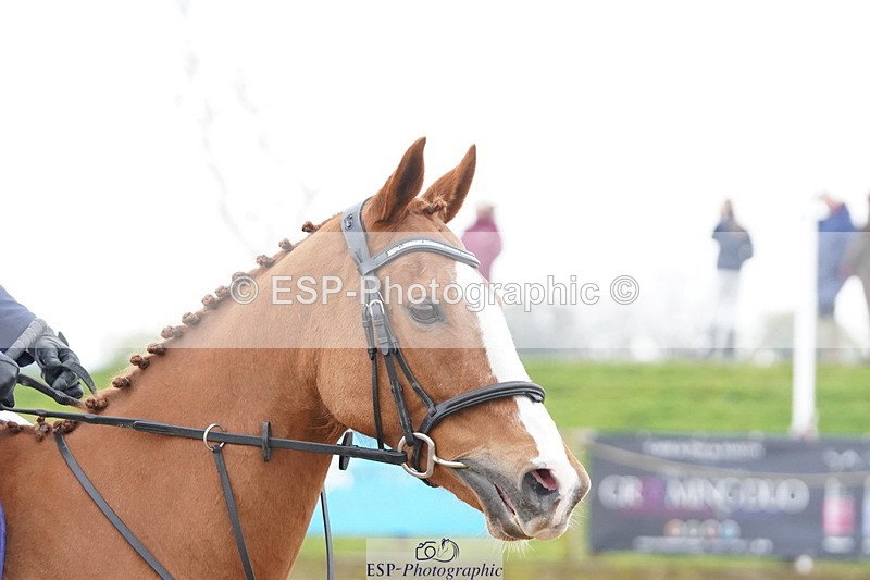 250419-125054-10900 - 705-Daisy.Evans-SANDY.B