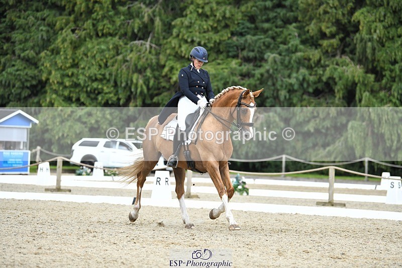 230812-143948-04751 - Cls 7 FEI PSG Bronze