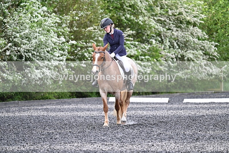 WJ7_8127 - Time 10:11 to 10:27