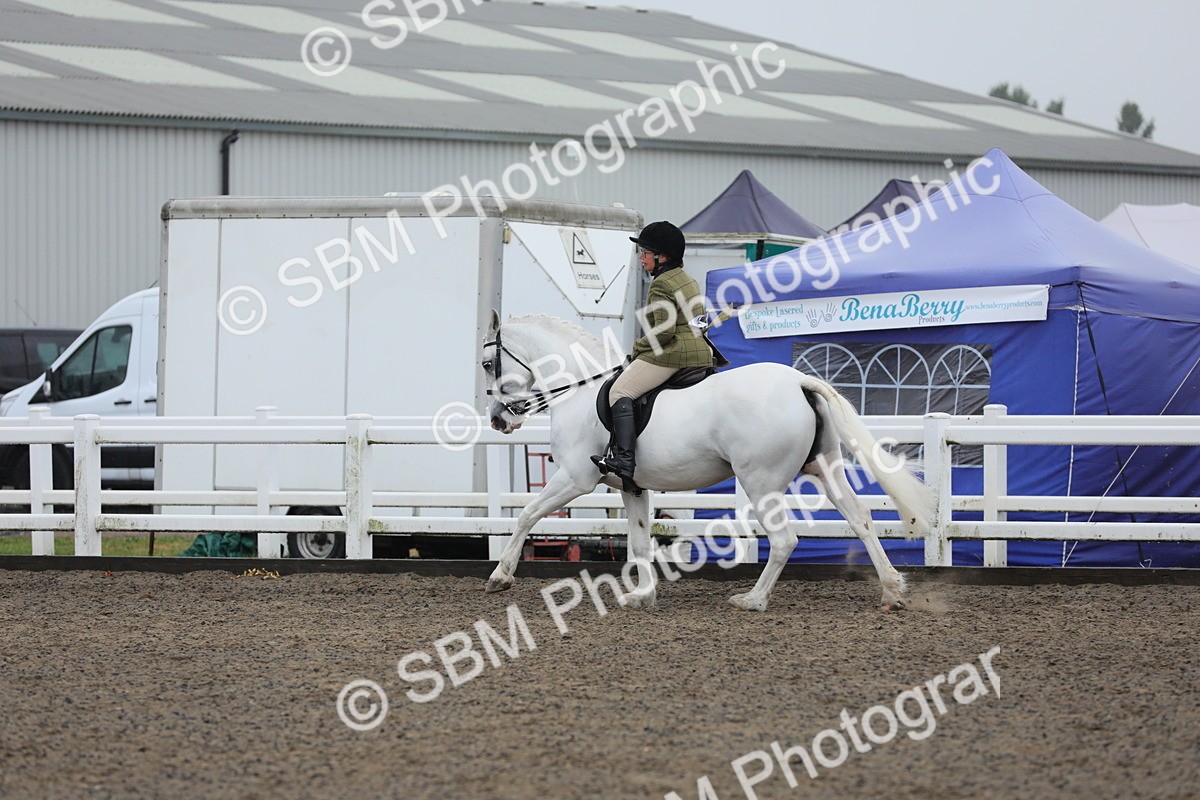 SBM_20324 - Class 803 - Ridden Combination 65+