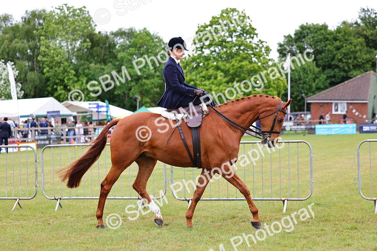 SBM_02706 - Class 9-11 Side Saddle including LIHS Rising Star Ladies Show Horse