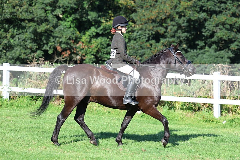 3E7A7552 - Class 1: Novice Working Hunter Pony