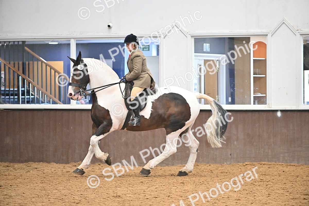 SBM_002725 - Ridden Showing Supreme Championships