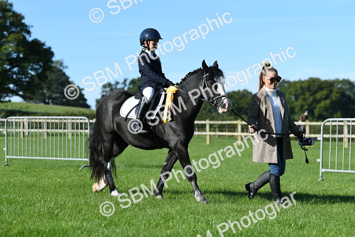 SBM_35527 - S17 - Condition & Turnout - Lead Rein