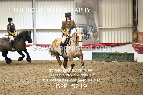 BPP_5219 - CLASS 4 50cm