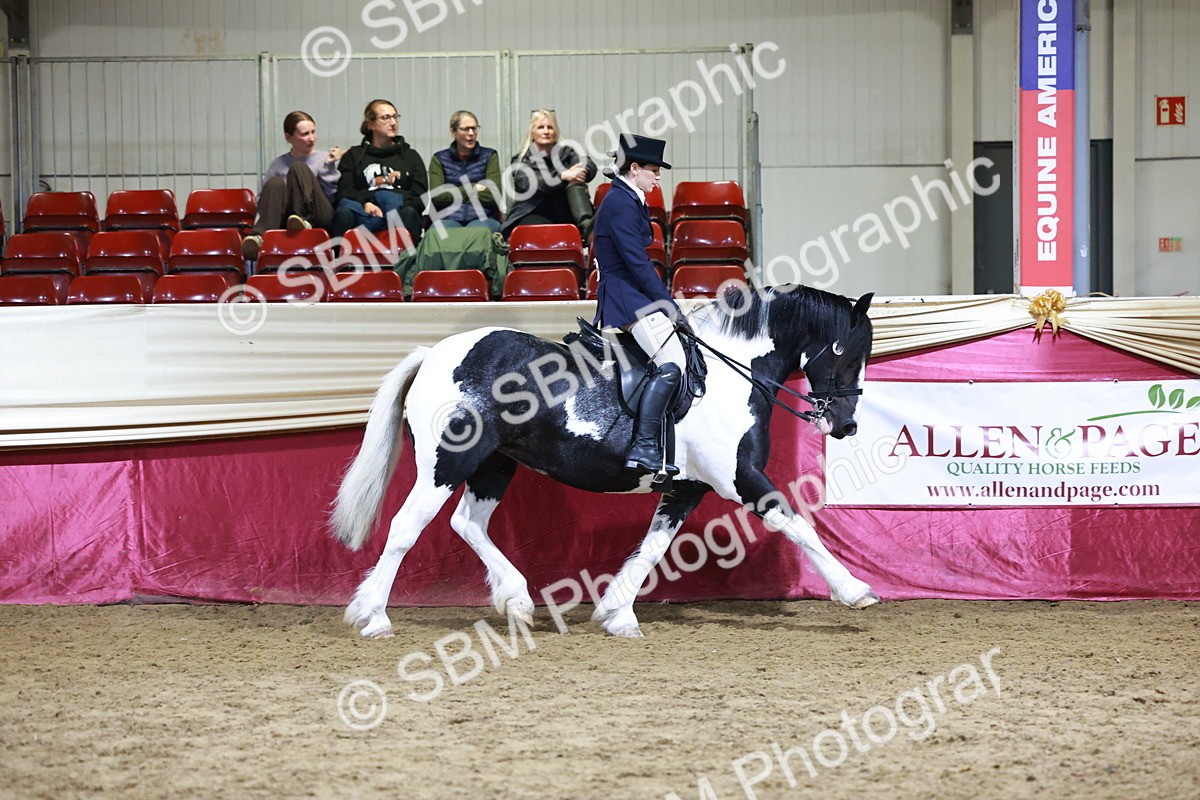 SBM_21131 - class Q - Ridden Horse Champ