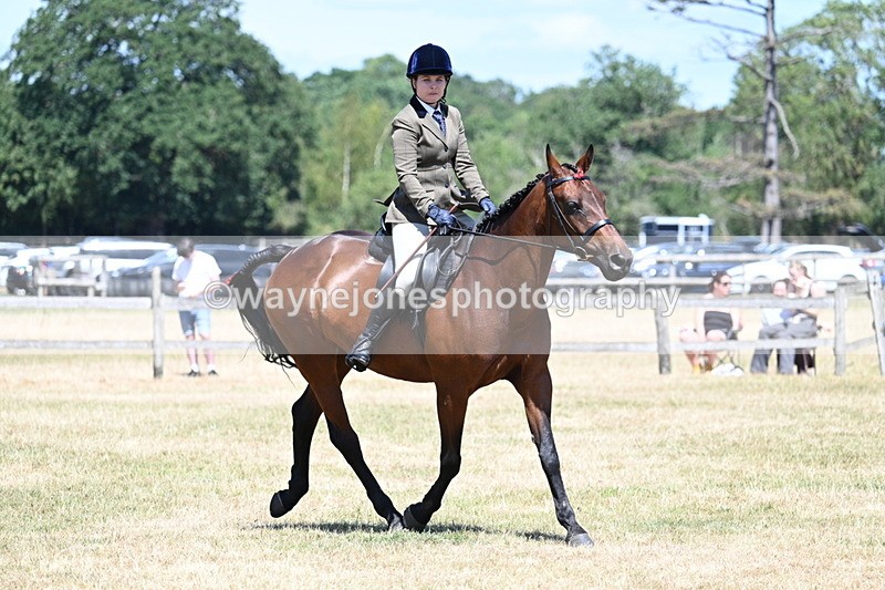 WJ7_3055 - Class 7 Riding Club Show Horse