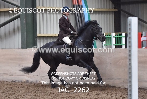 JAC_2262 - CLASS 2 Novice Working Hunter