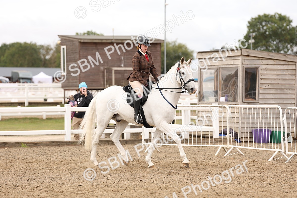 SBM_02802 - Class 53 - Ridden Competition Horse/Pony