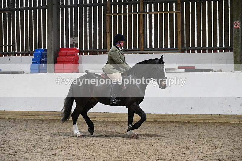 WJ7_3929 - Class 17 Ridden Cob