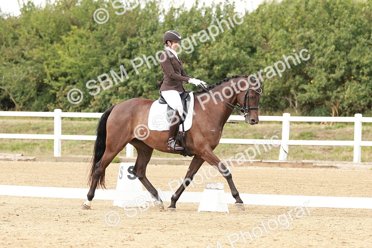 SBM_002382 - Class 11 - Medium 6