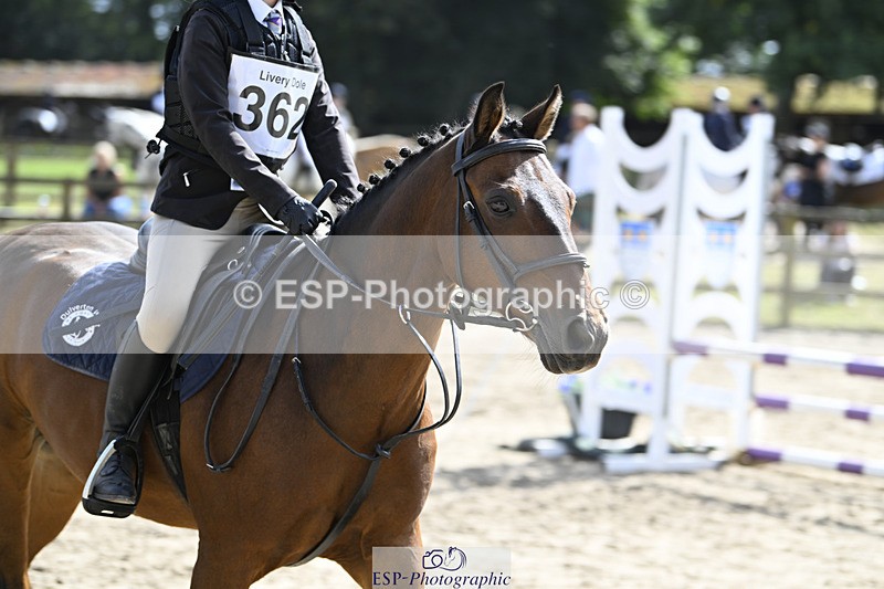 240823X-152647-18691 - 70cm R2 15.20 to 16.40