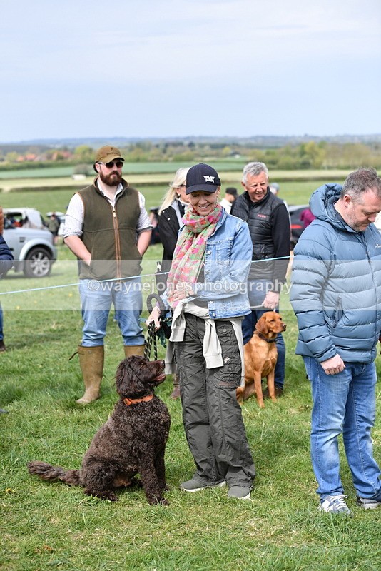 WJ5_9724 - Class 3 Most Handsome Dog