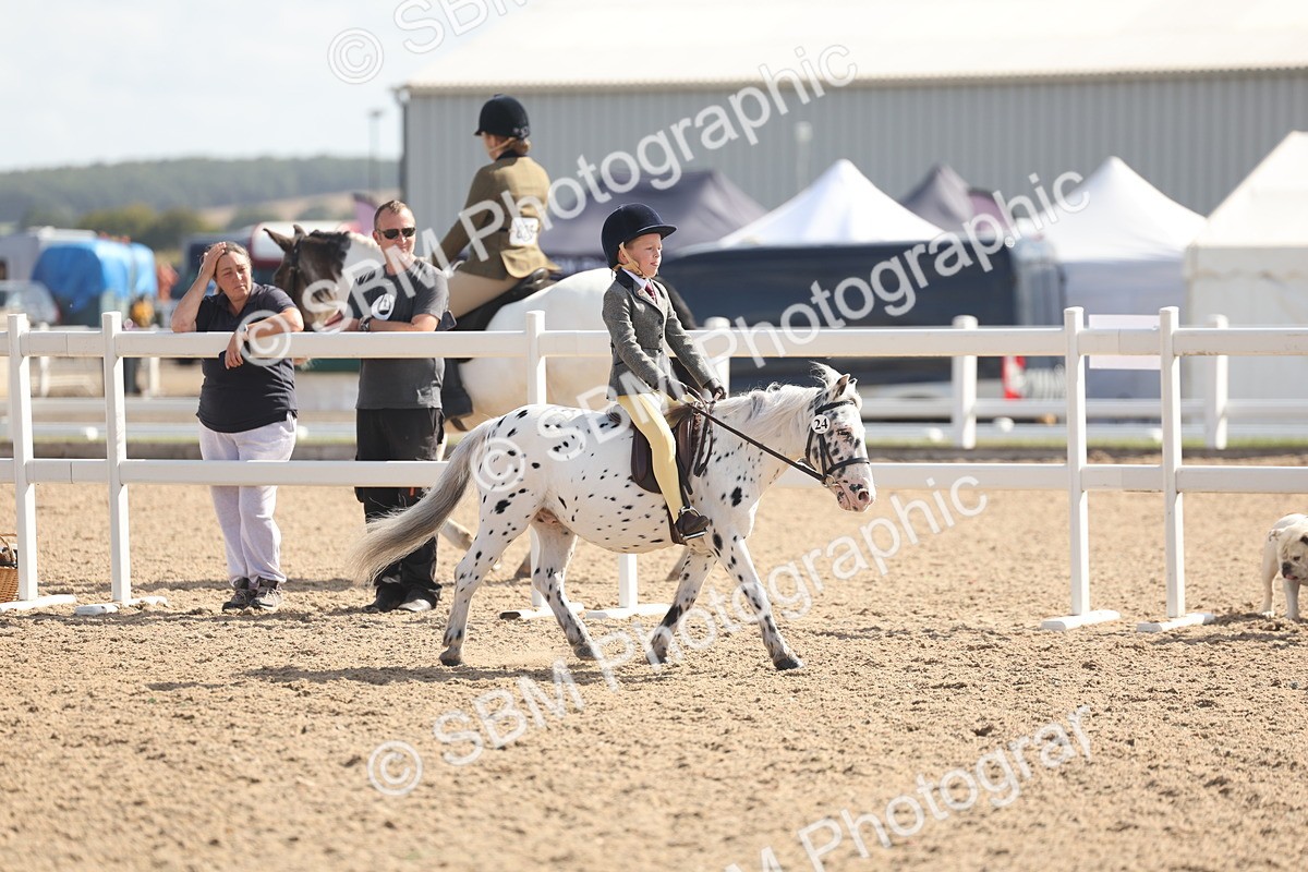 SBM_23127 - Class 806 - Young Rider 10ry and Under