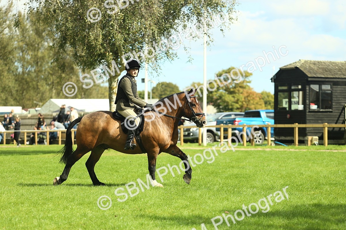 SBM_42095 - S29 - Novice & Newcomers Working Hunter Pony