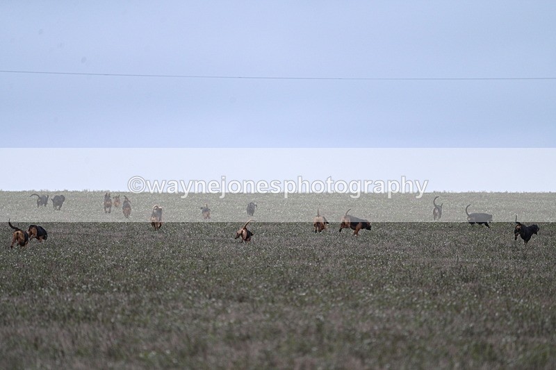 WJ7_9378 - Camera 1