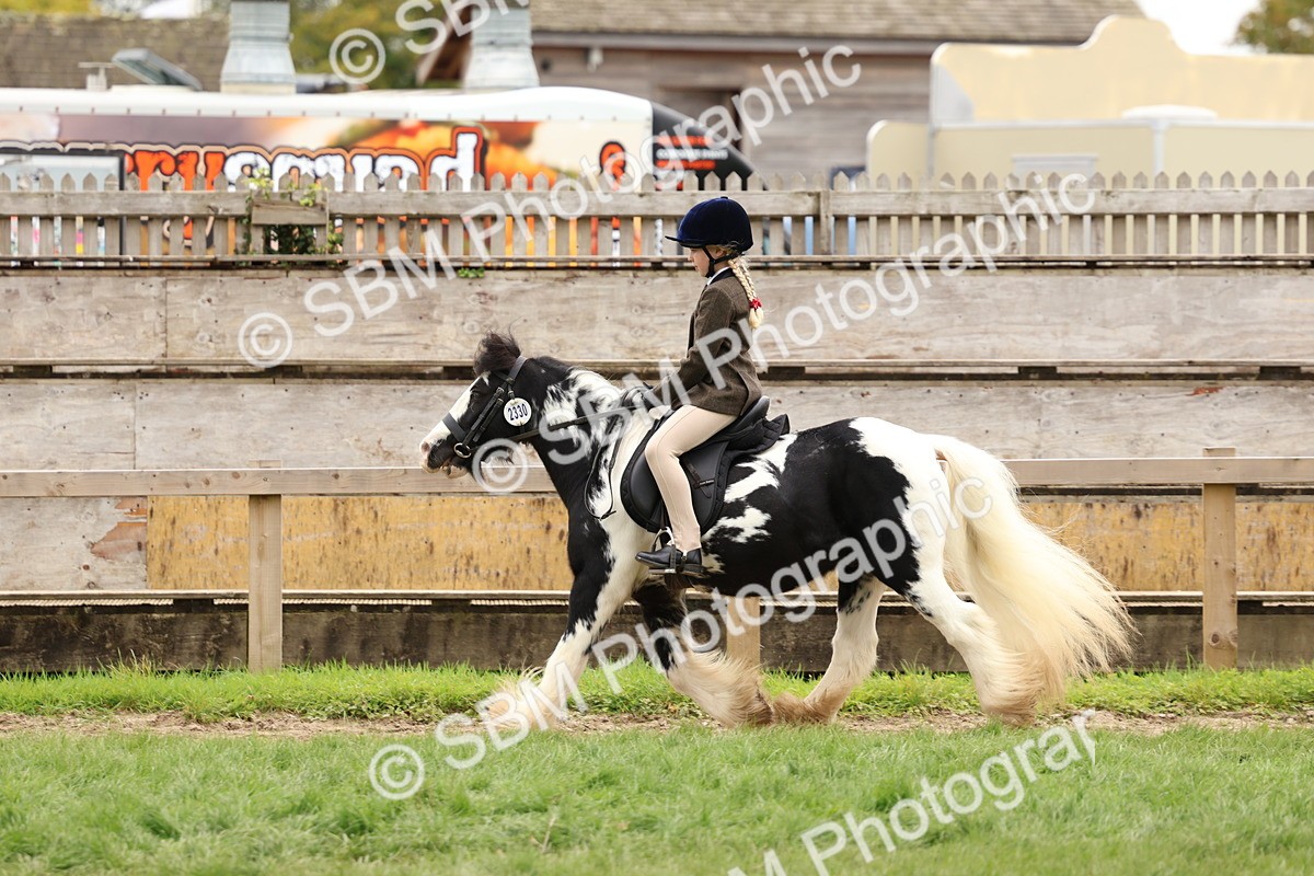 SBM_64531 - S58 - Coloured Pony Ridden