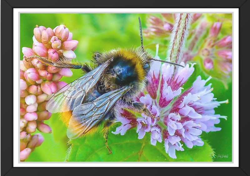 Sunrise to Sunset Fine Art Photography Print Norwich Gorleston-On-Sea by Paul Duddell-Whispers & Strokes