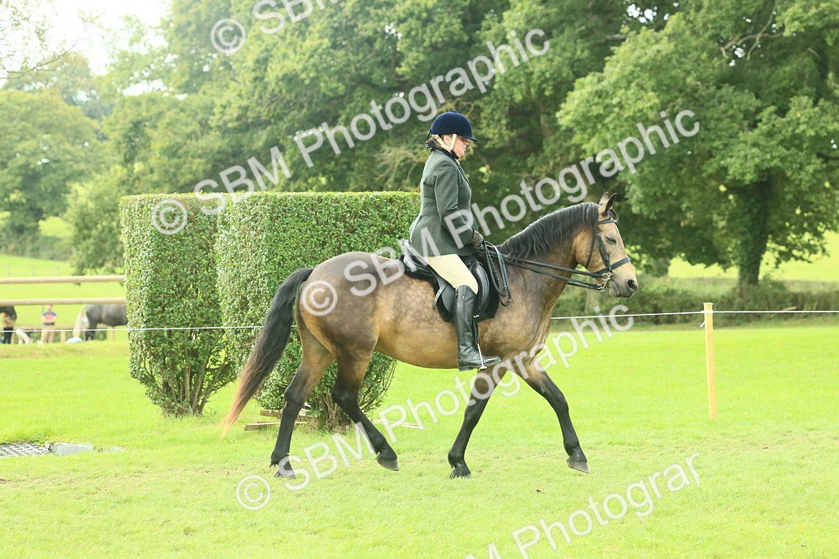 SBM_62577 - S63 - Other Coloured Horse Ridden