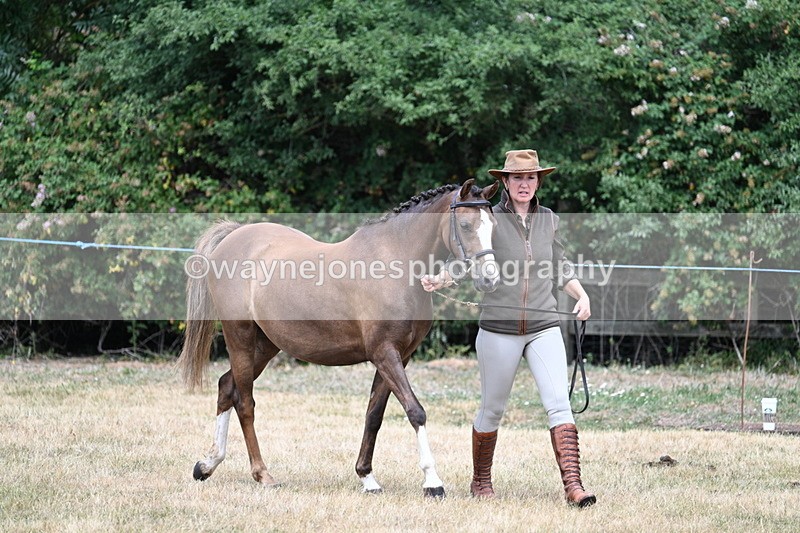 WJ7_1521 - Class 4 Prettiest Mare up to 14.2hh in hand