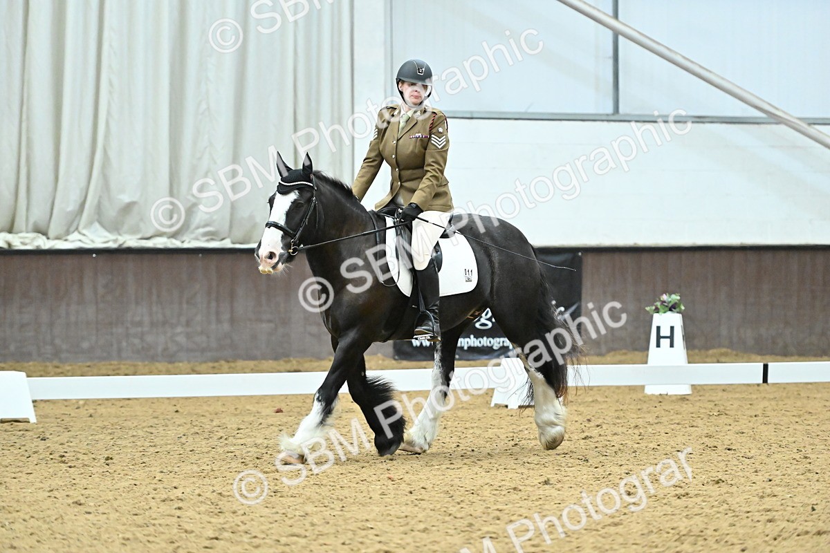 SBM_007449 - Class 81 - Novice 3