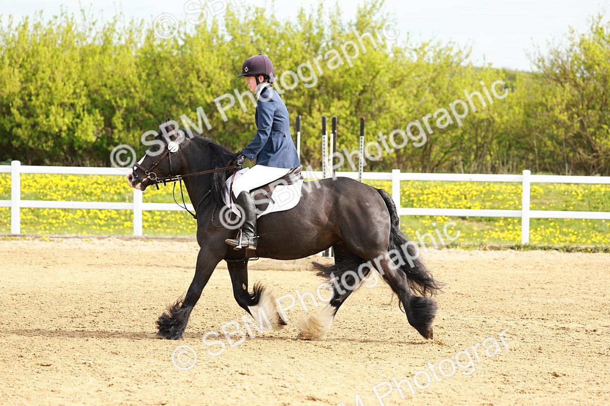 SBM_003341 - Class 2 - 50cm