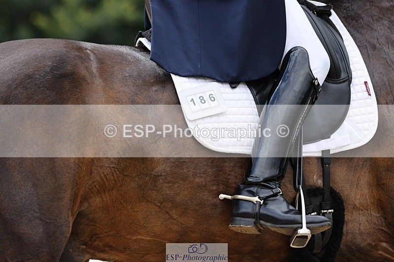 240810-143332-03754 - 186-Jonathan.Hansen-Summerhouse.Delano