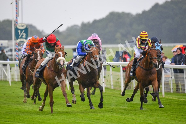 140723-Race 1-Northern Express-0037 - Race 1 2.05pm William Hill Epic Value Handicap