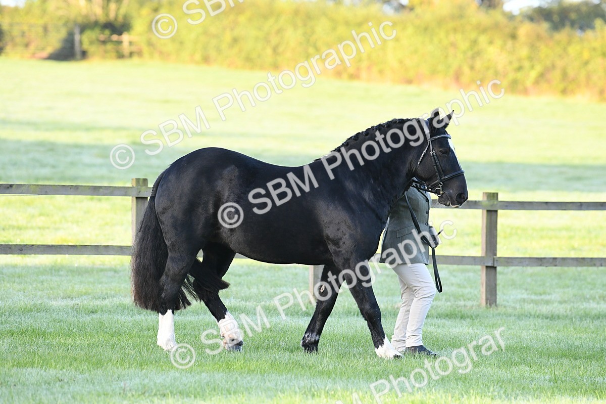 SBM_32429 - S15 - Condition & Turnout In Hand