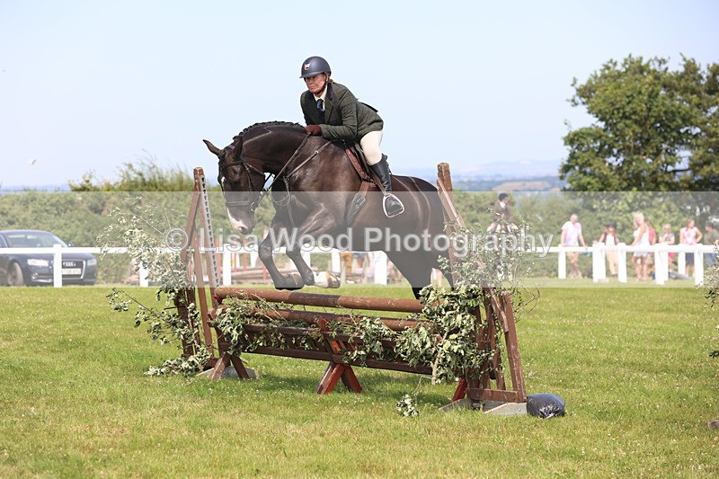 JPP_3595 - Class 23: Working Hunter 80cm