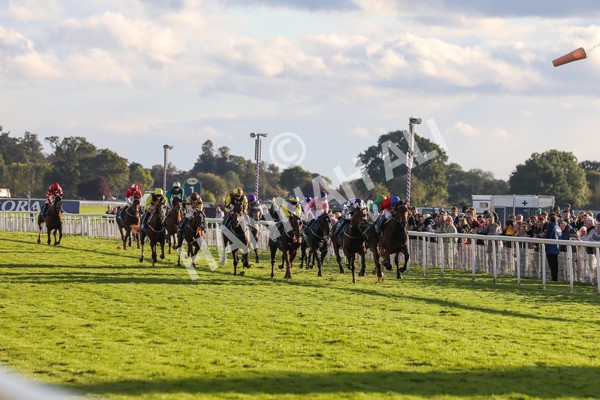 141023-Race 7-Star Ahoy-0674 - Race 7 4.45pm Coral 'Committed To Safer Gambling' Finale Handicap