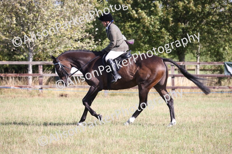 20260906-0415 - Class 14 - Ex Racehorse