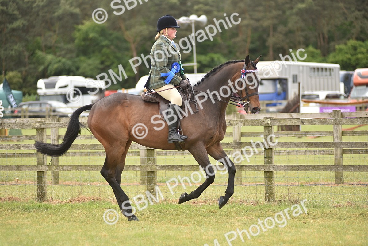 SBM_14279 - Class 113-114 - Retraining of Racehorses Ridden