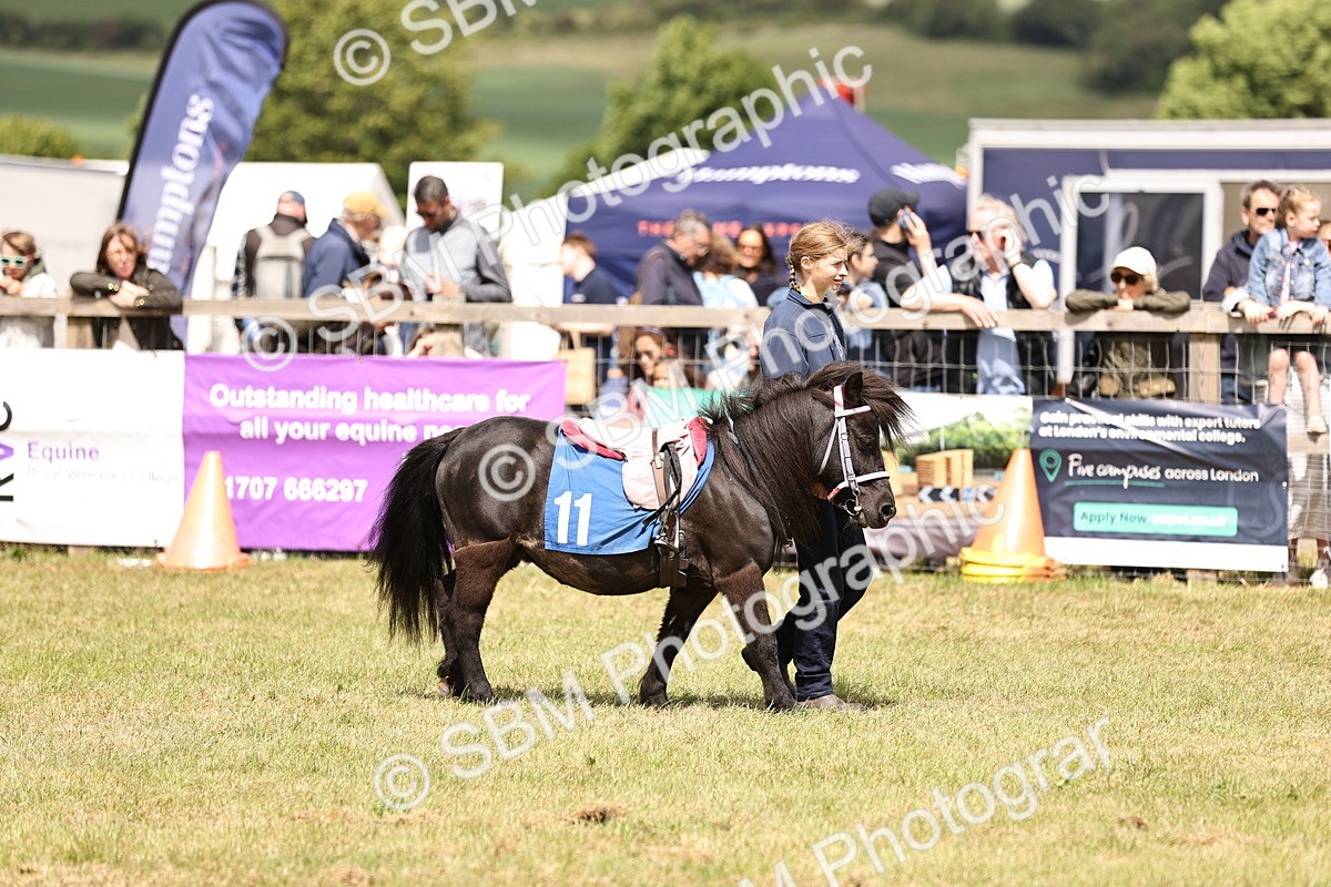 SBM_16401 - Dinky Derby