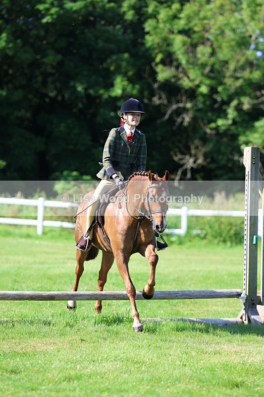 3E7A5905 - Class 27: Novice Working Hunter Pony