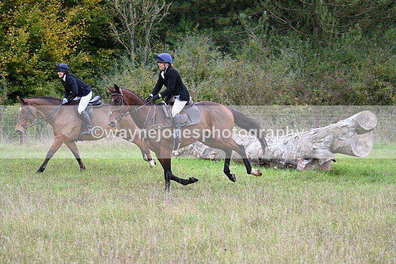 WJ7_3648 - Camera 1 Line 1