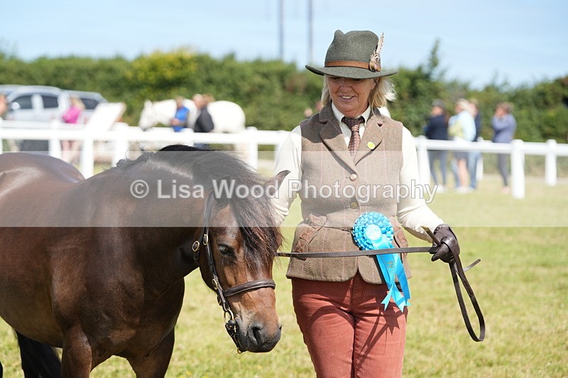 DSC05635 - Class 50: NPS M&M 4 years and over Small Breeds