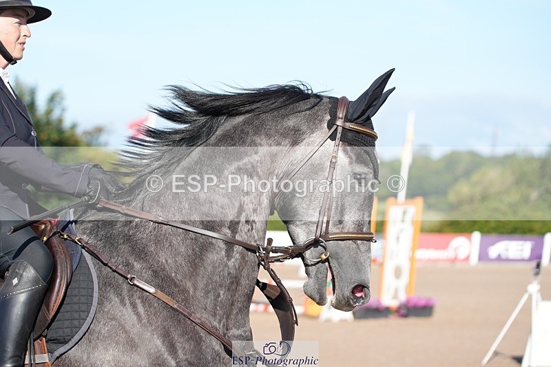 250802-085839-08218 - Cls 19 British Novice and 90cm Open