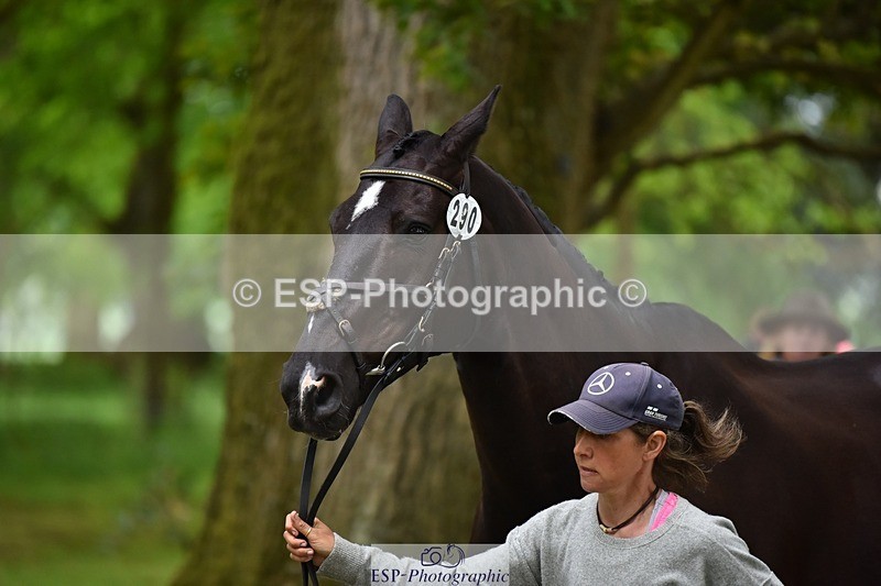 240522-172838-01635 - 290-MISTER_KAI-Hani_Milstein