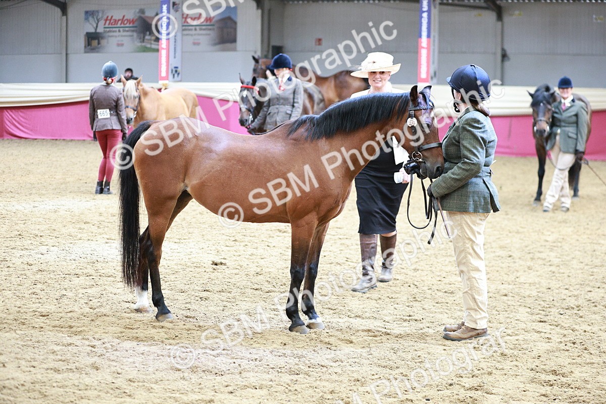 SBM_04845 - Class 7R - Regional IH Diamond