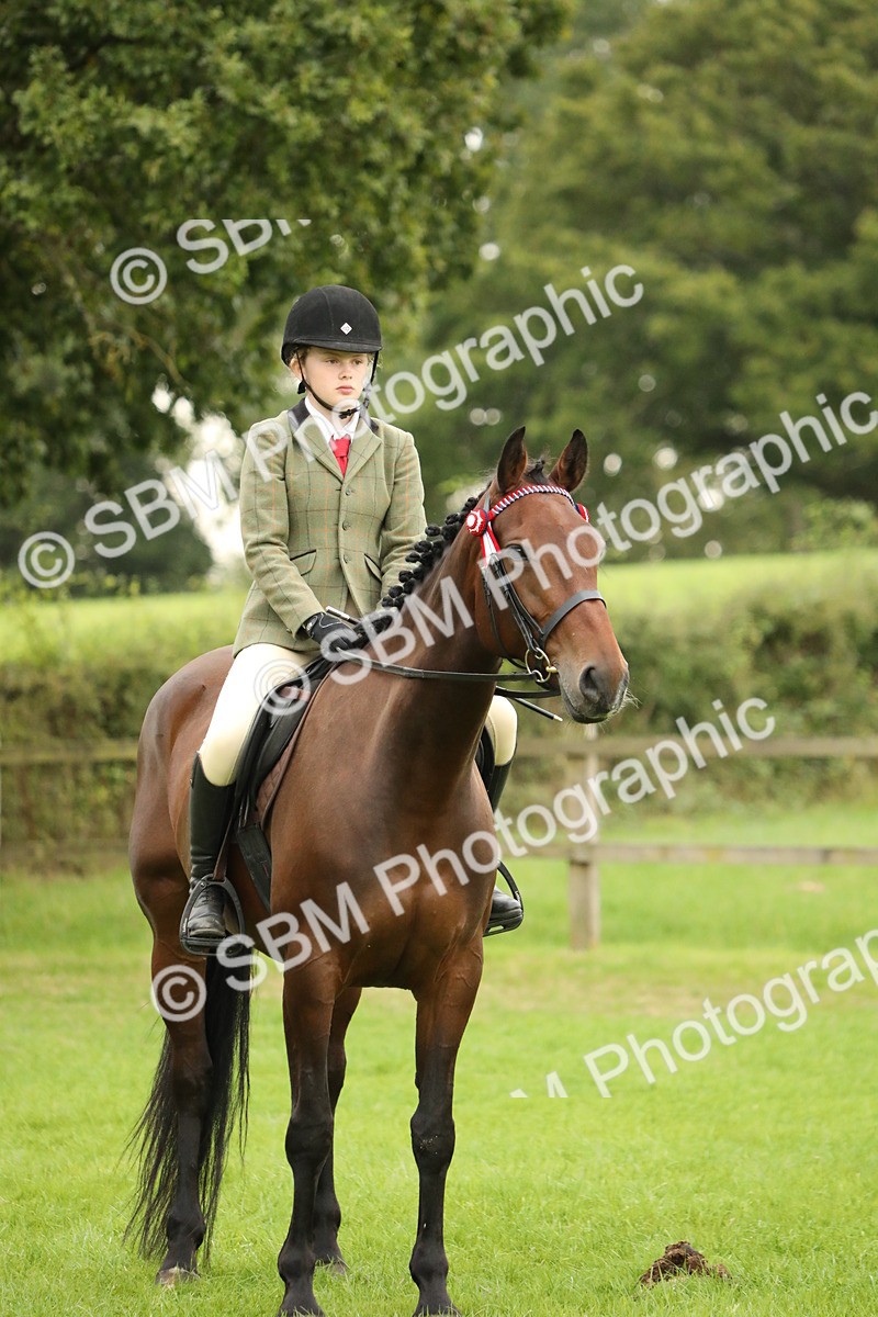 SBM_73820 - S41 - Ridden Equitation (Best Rider)