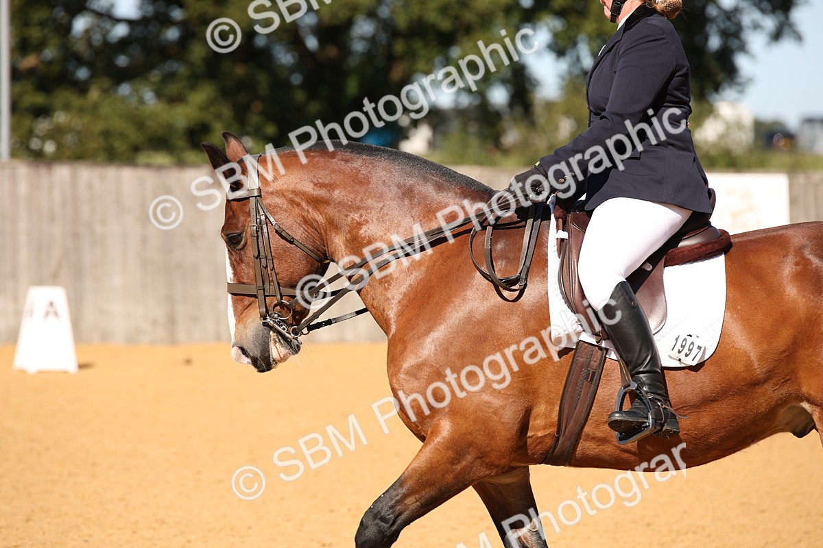 SBM_18511 - D31 - Grand Tour - PYO Open