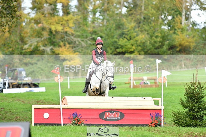 251025A-134905-20116 - F-479-Poppy.Wellman