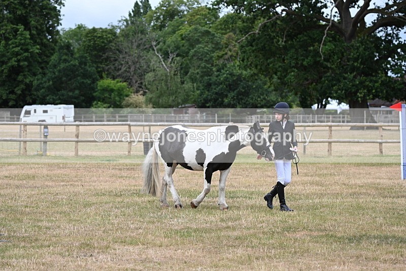 WJ6_4593 - Class 10 Coloured In-hand