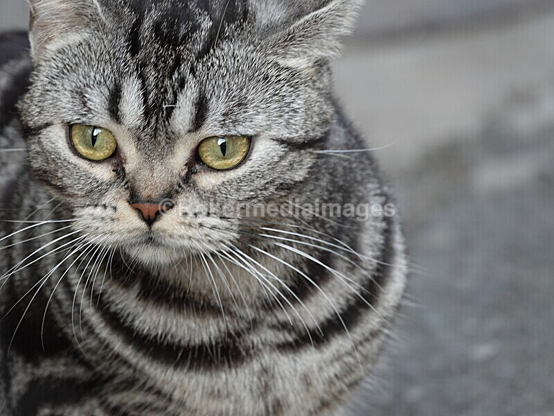 CHINA__1176 - China 2019