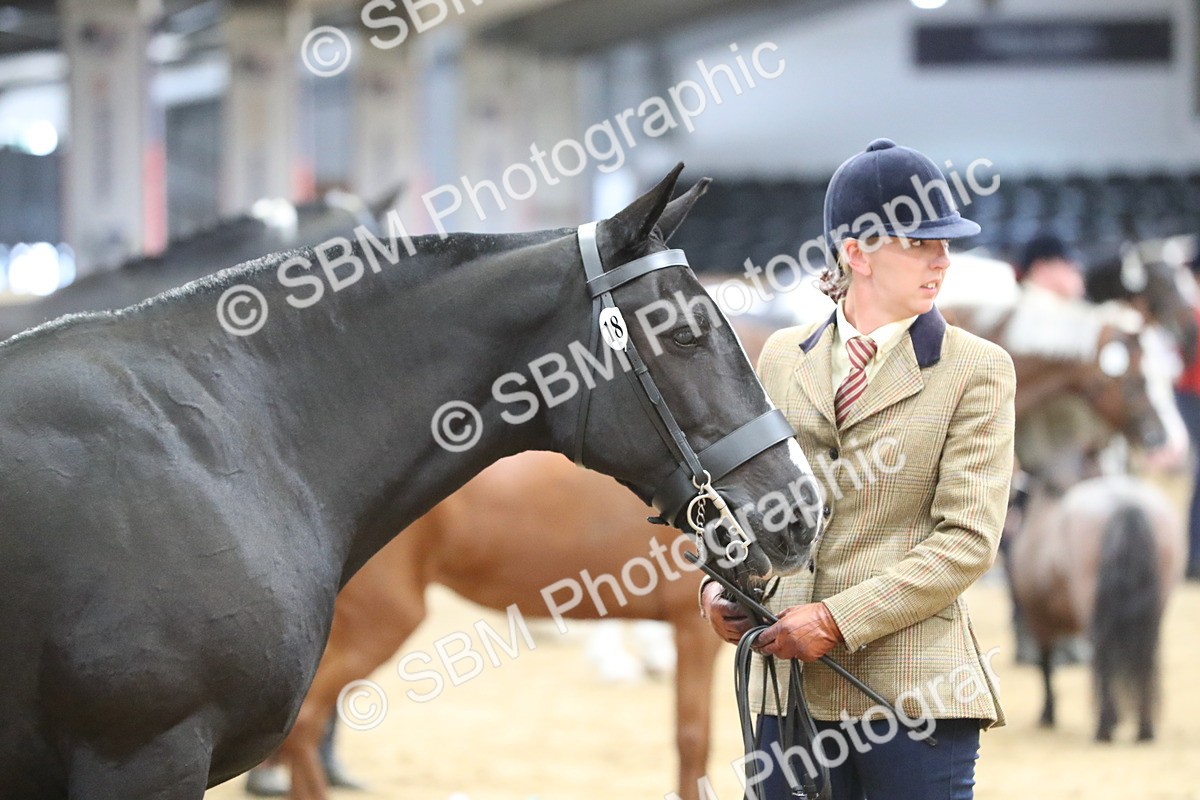 SBM_06413 - Class 9R Regional- IH Pre Vet