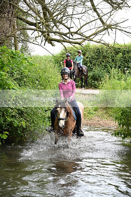 WJ7_2021 - Camera 2 Water Crossing