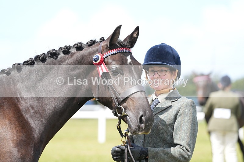 DSC06238 - Class 54: Hunter/Riding Horse/Hack 1 & 2 yr olds